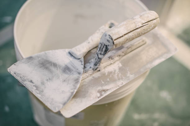 Trusted Kentwood, LA Mold Removal Experts